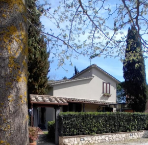 I Gelsi di Colombata Locazione turistica breve in campagna Narni
